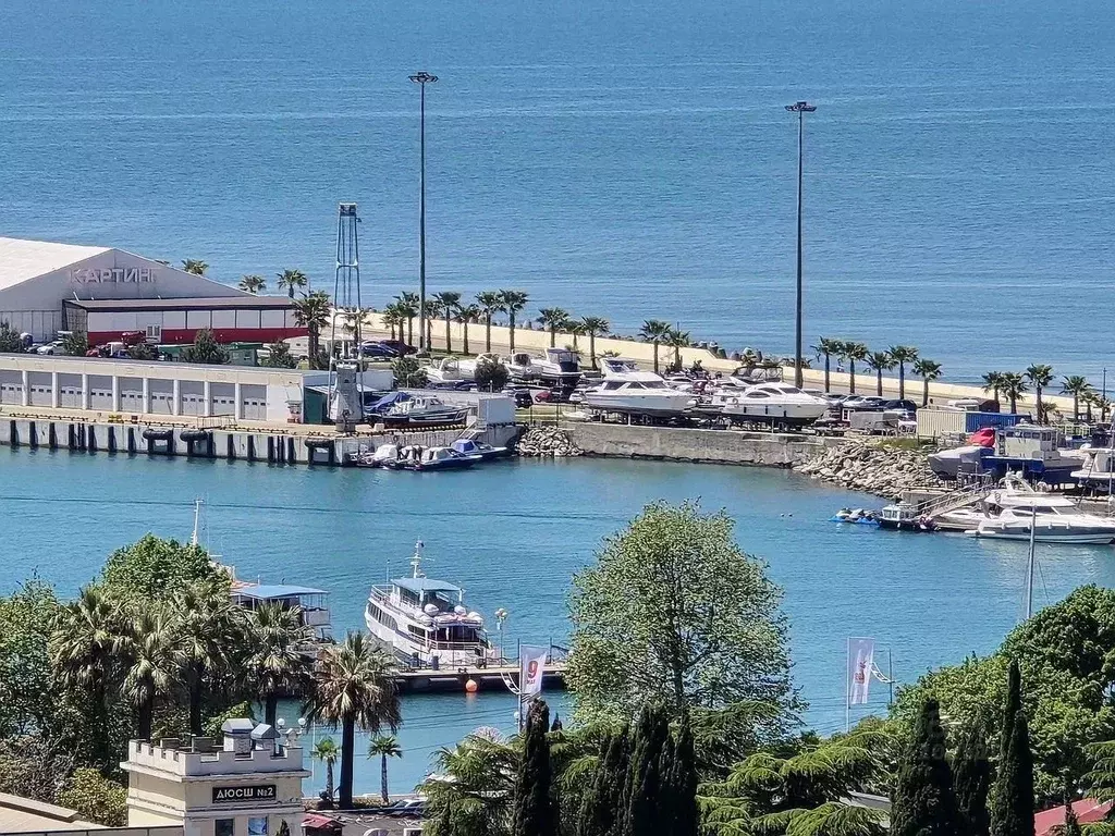 1-к кв. Краснодарский край, Сочи Центральный мкр, ул. Первомайская, 13 ... - Фото 1