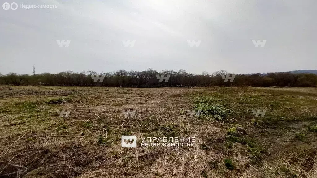 Участок в Сахалинская область, городской округ Южно-Сахалинск, село ... - Фото 0