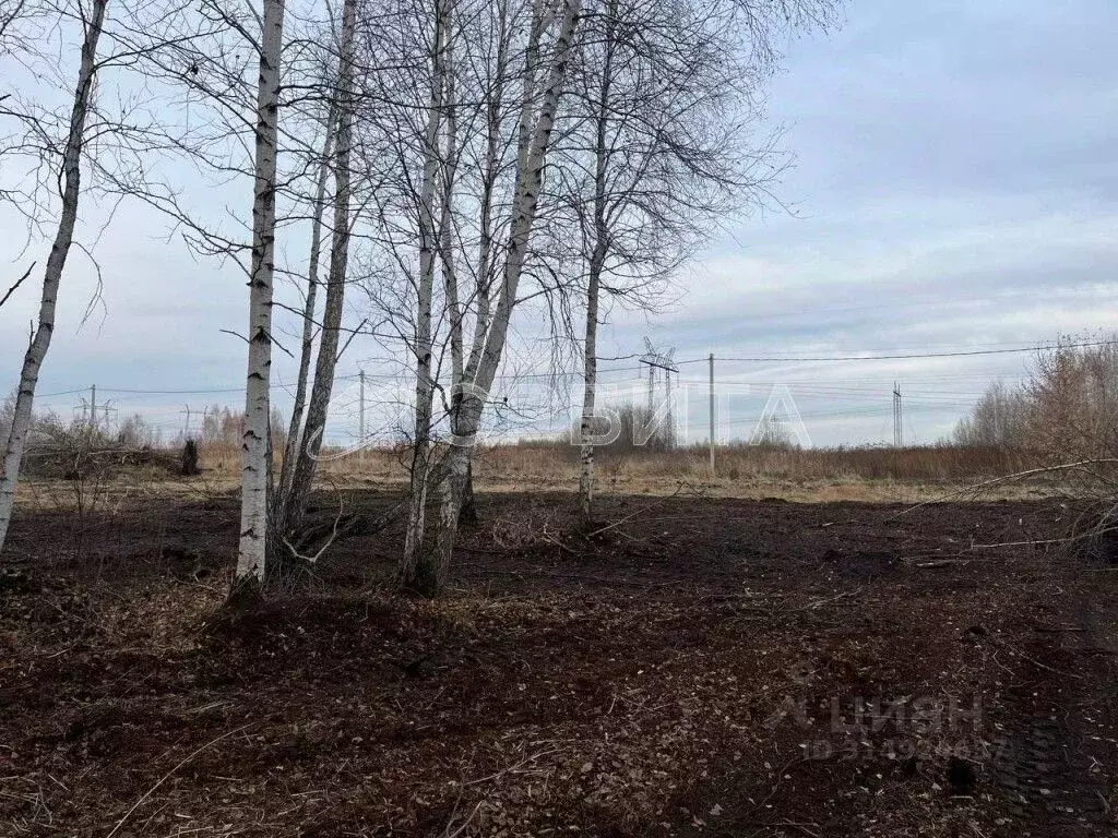 Участок в Тюменская область, Тюменский район, с. Борки  (5.77 сот.) - Фото 1