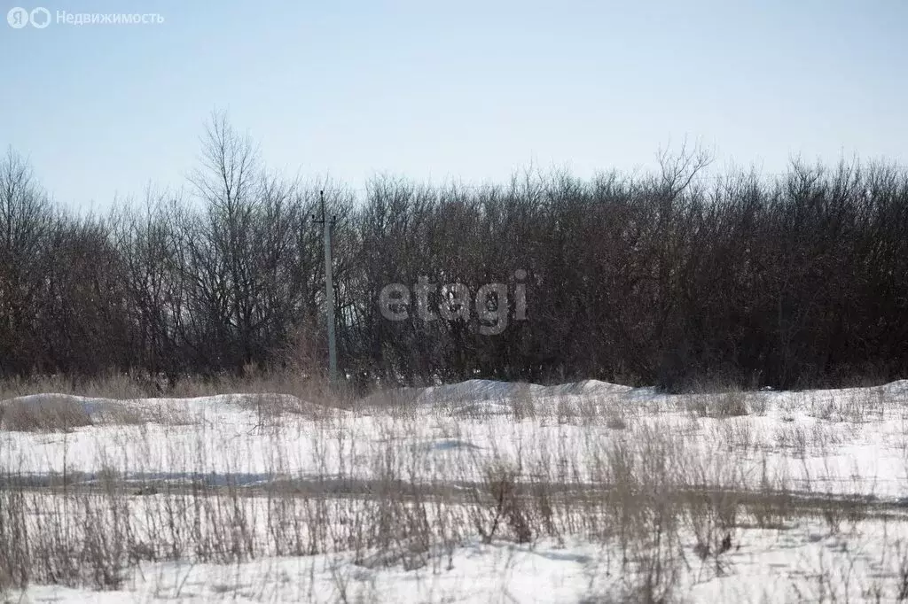 Участок в Бессоновский район, садоводческое некоммерческое ... - Фото 0