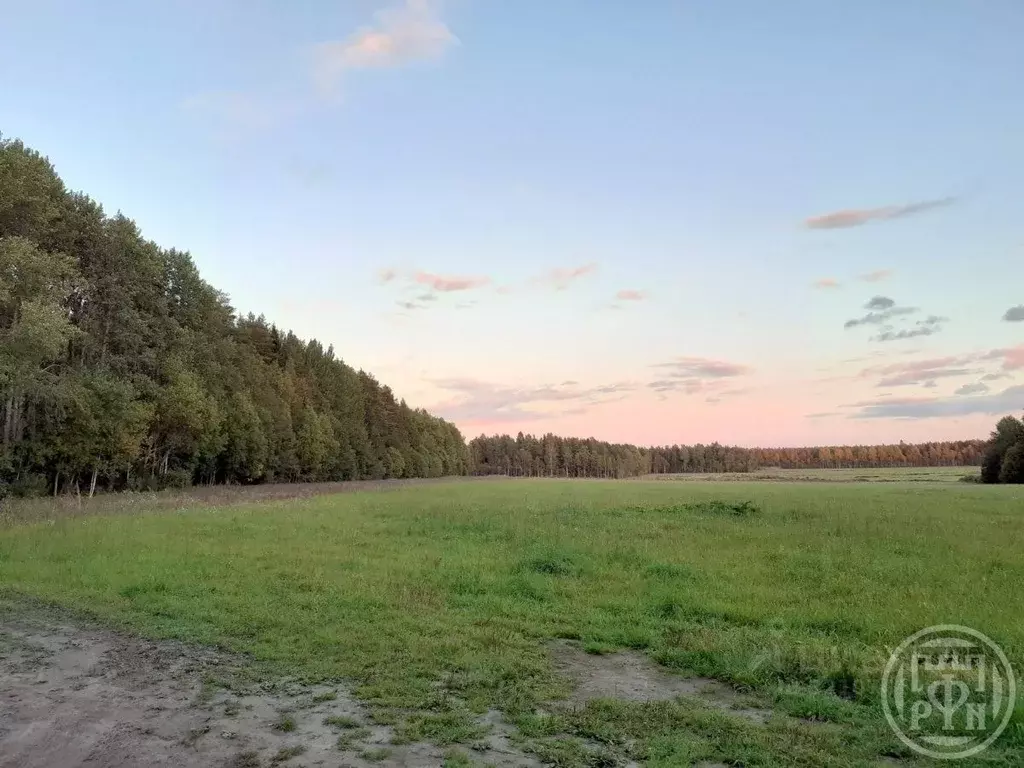 Участок в Ленинградская область, Выборгский район, Красносельское ... - Фото 0