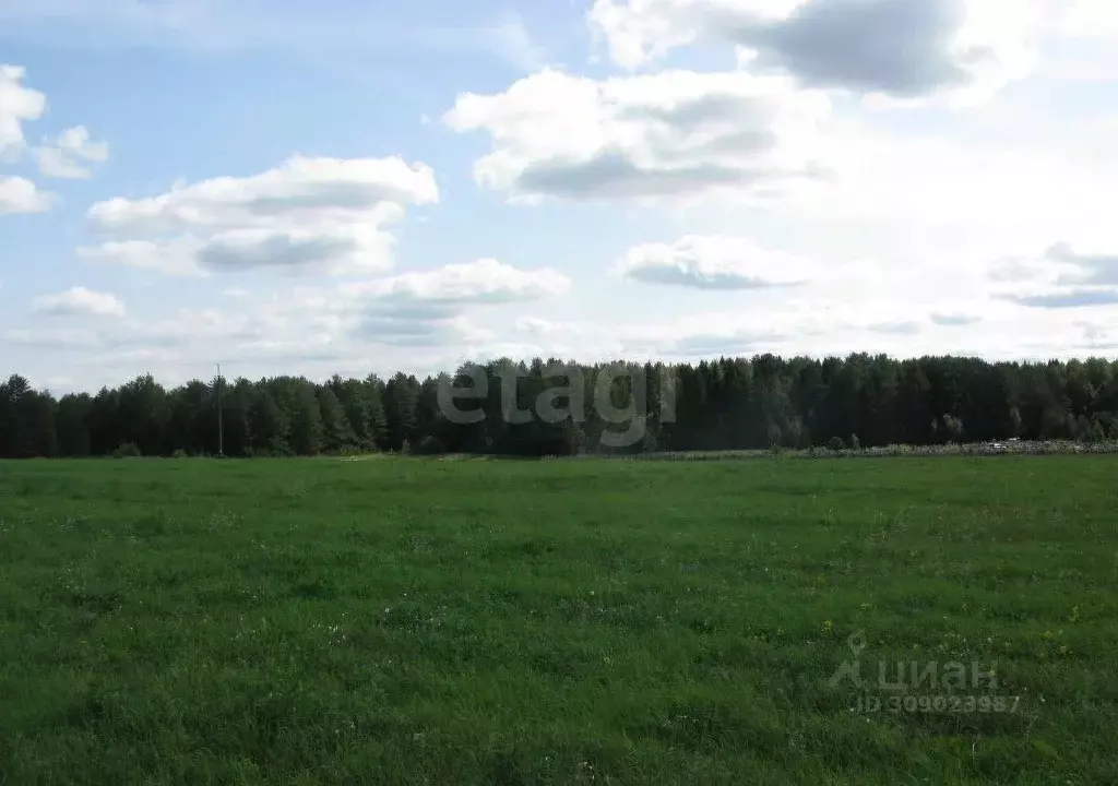 Участок в Кировская область, Слободской район, Шиховское с/пос, д. ... - Фото 2