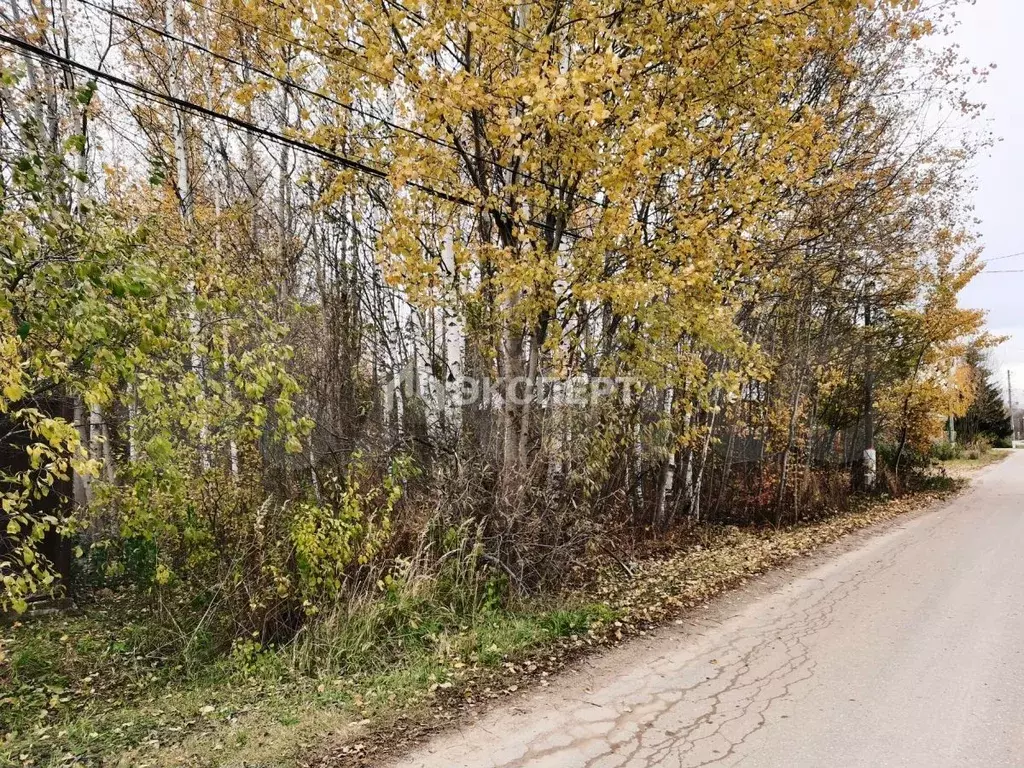 Участок 10 сот. (ИЖС) - Фото 1