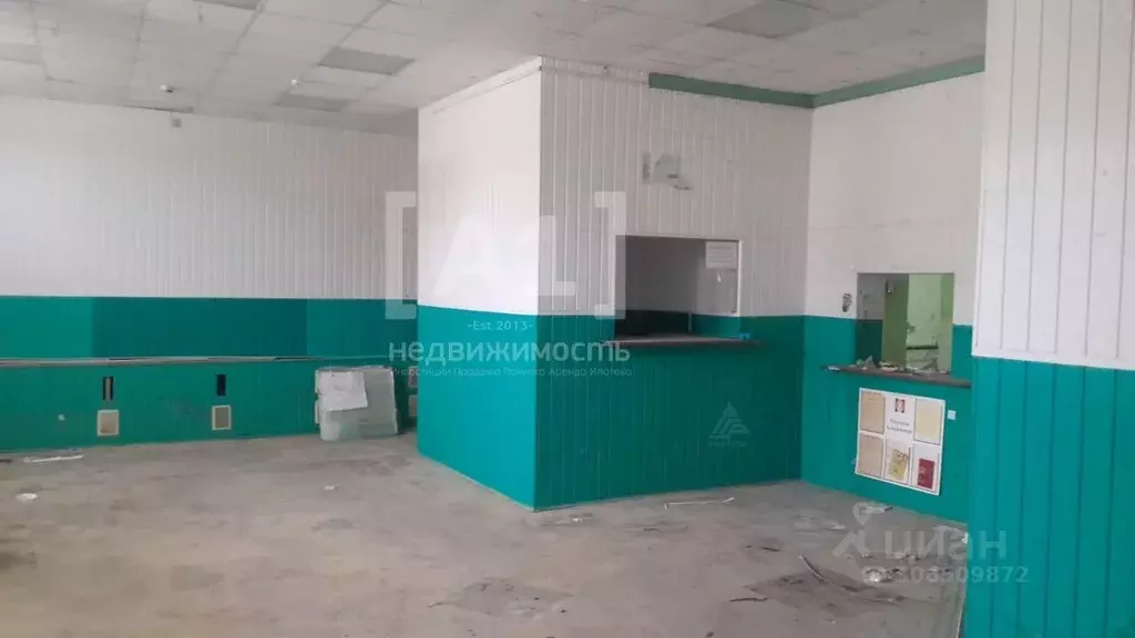 Торговая площадь в Челябинская область, Копейск ул. Кирова, 21 (248 м) - Фото 1