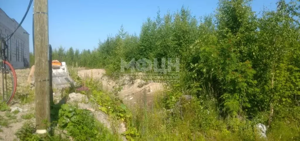 Участок в Карелия, Петрозаводск ул. Солеварная (11.0 сот.) - Фото 1
