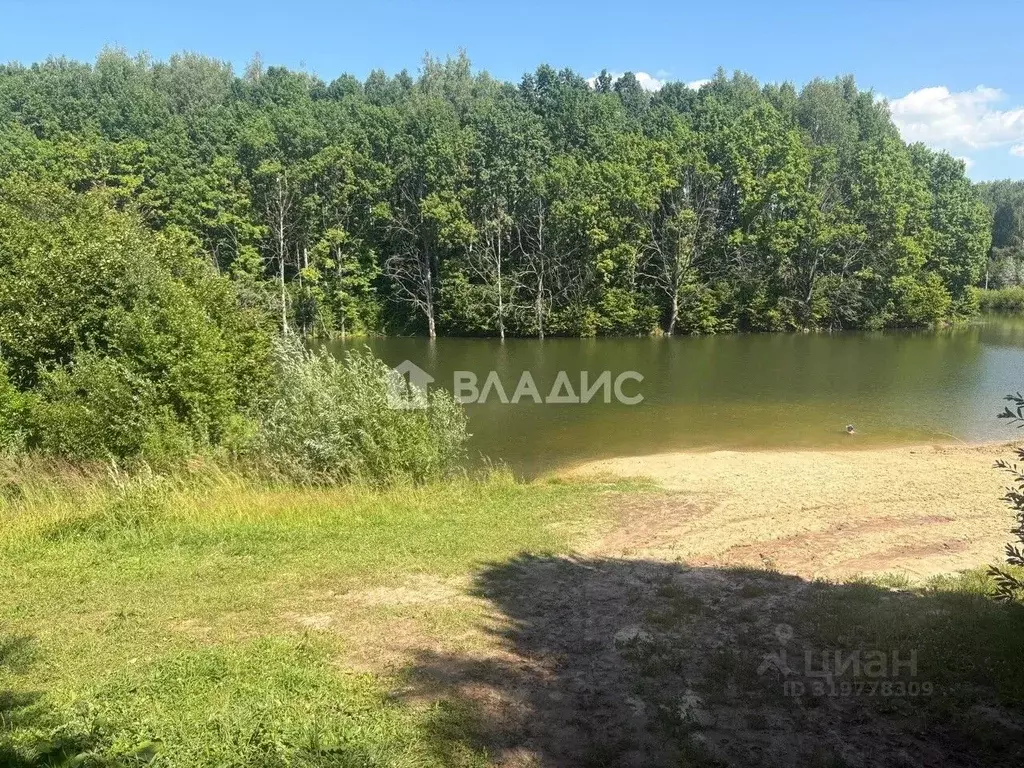 Участок в Нижегородская область, Богородский муниципальный округ, д. ... - Фото 0