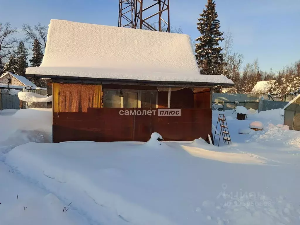 Участок в Московская область, Богородский городской округ, Металлист ... - Фото 2