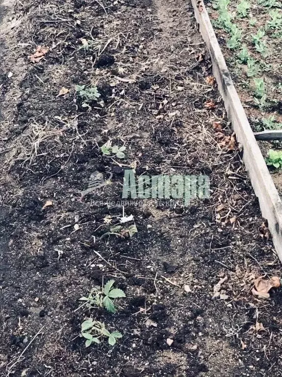 Дом в Забайкальский край, Чита № 6 Заимка СНТ, 20 (30 м) - Фото 1