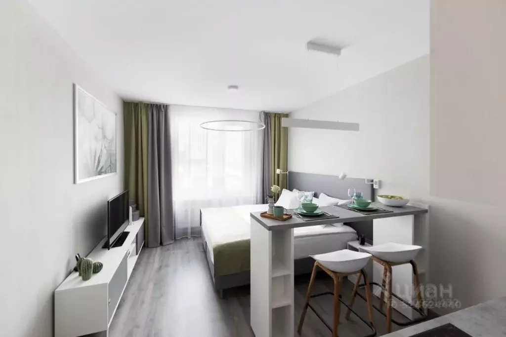 Студия Санкт-Петербург Витебский просп., 101к1 (24.0 м) - Фото 2