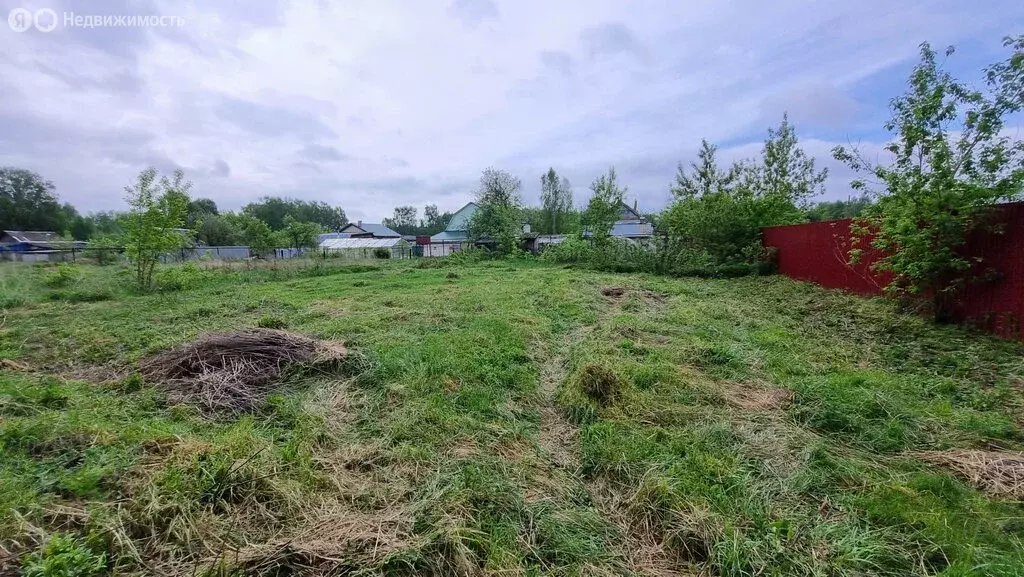 Участок в Нижегородская область, муниципальный округ Бор, деревня ... - Фото 2
