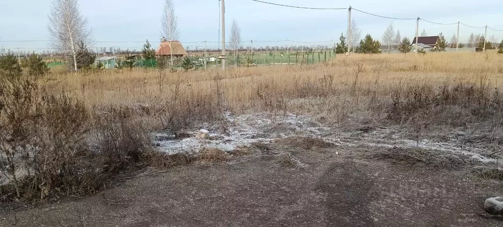 Участок в Самарская область, Ставропольский район, Мусорка с/пос, с. ... - Фото 1