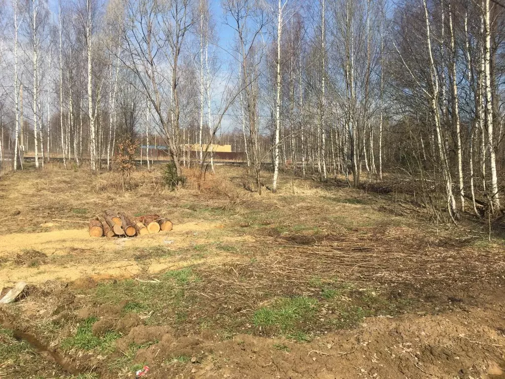 Участок в Московская область, Пушкинский городской округ, д. Могильцы  ... - Фото 0