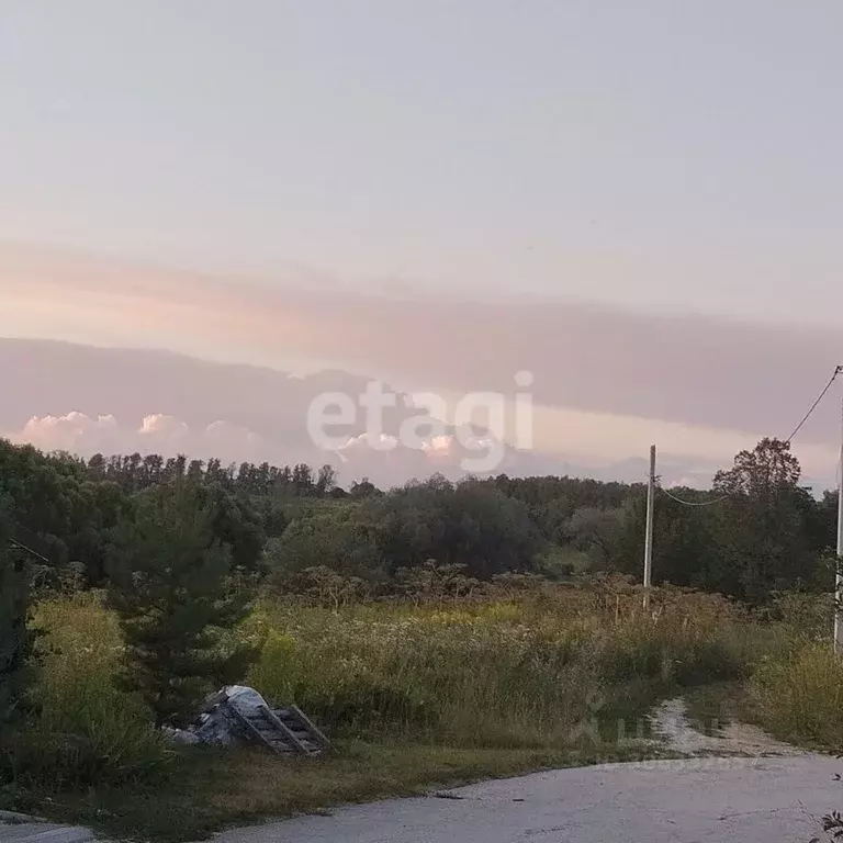 Участок в Тульская область, Тула муниципальное образование, д. Коптево ... - Фото 1