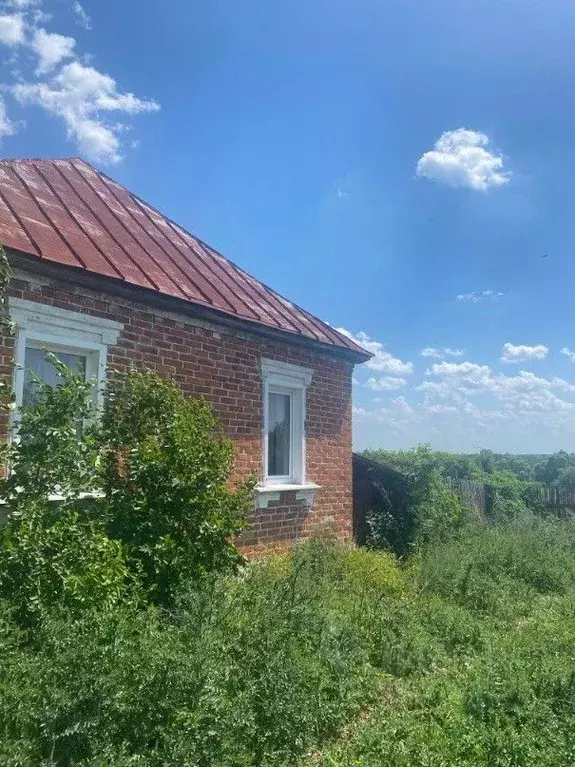 Дом в Тамбовская область, Тамбовский муниципальный округ, с. Большая ... - Фото 0