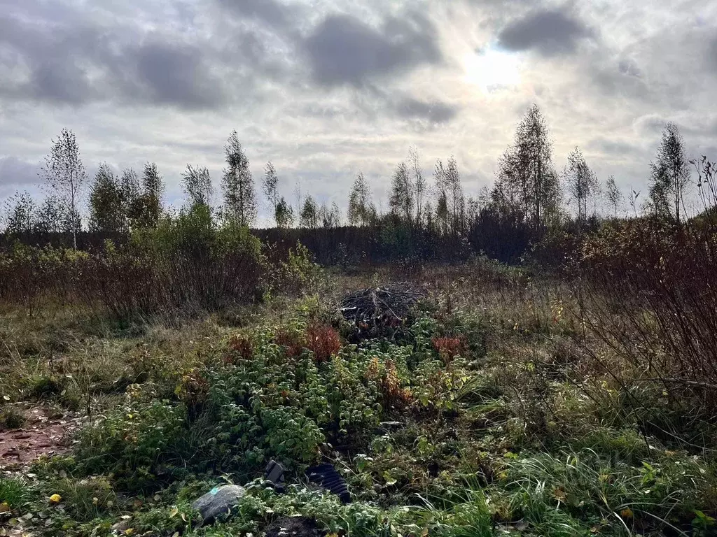 Участок в Ленинградская область, Тихвинское городское поселение, д. ... - Фото 0