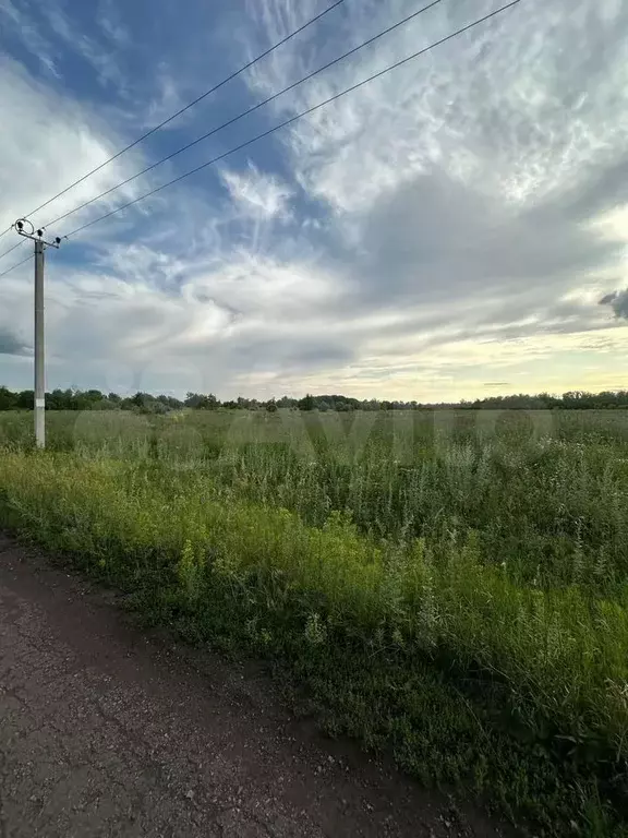Участок 12 сот. (СНТ, ДНП) - Фото 0