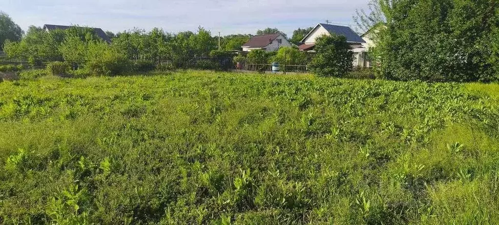 Участок в Белгородская область, Шебекинский муниципальный округ, ... - Фото 2