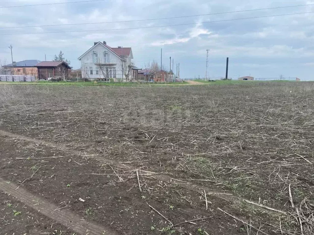 Участок в Ростовская область, Мясниковский район, с. Большие Салы ул. ... - Фото 2