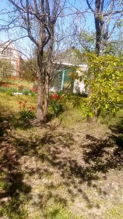 Дом в Краснодарский край, Краснодар Авангард садовое товарищество, ул. ... - Фото 1
