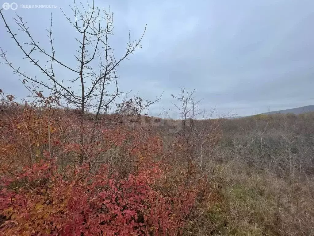 Участок в Первомайское сельское поселение, СНТ Заря, Лесной переулок ... - Фото 2