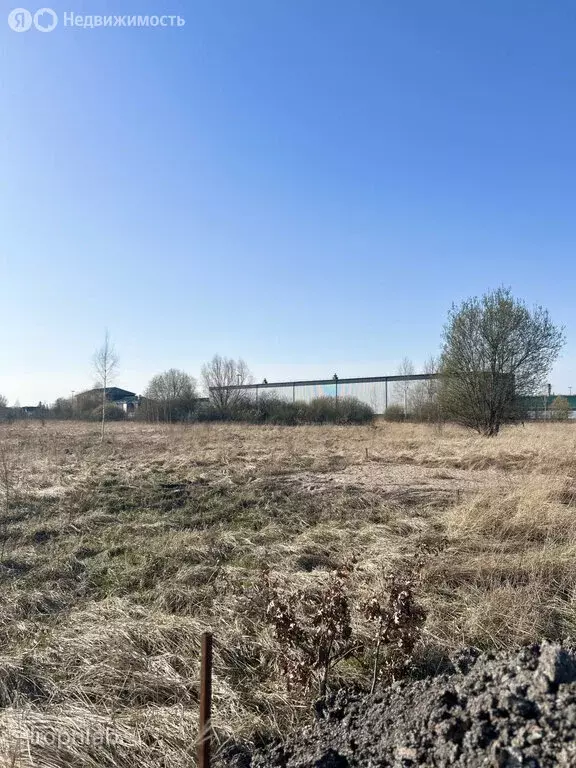 Участок в Нивенское, улица Багратиона (12 м) - Фото 2