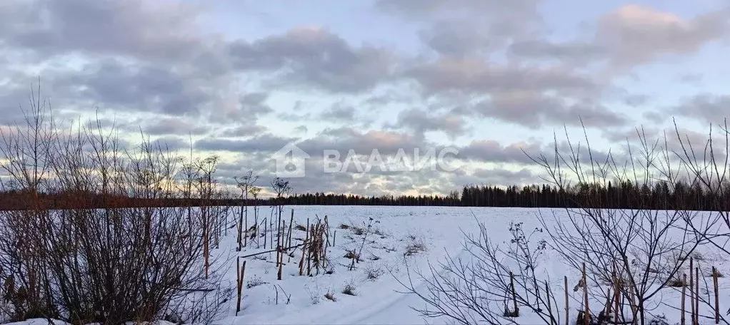 Участок в Коми, Корткеросский район, Додзь муниципальное образование, ... - Фото 1