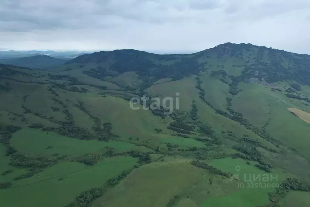 Участок в Алтайский край, Алтайский район, Айский сельсовет, с. Ая  ... - Фото 2
