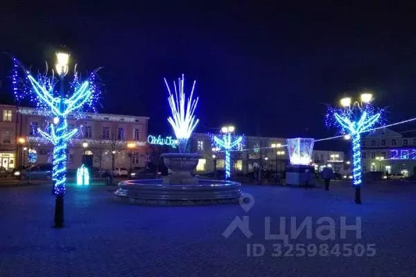 Помещение свободного назначения в Калининградская область, Гвардейск ... - Фото 1