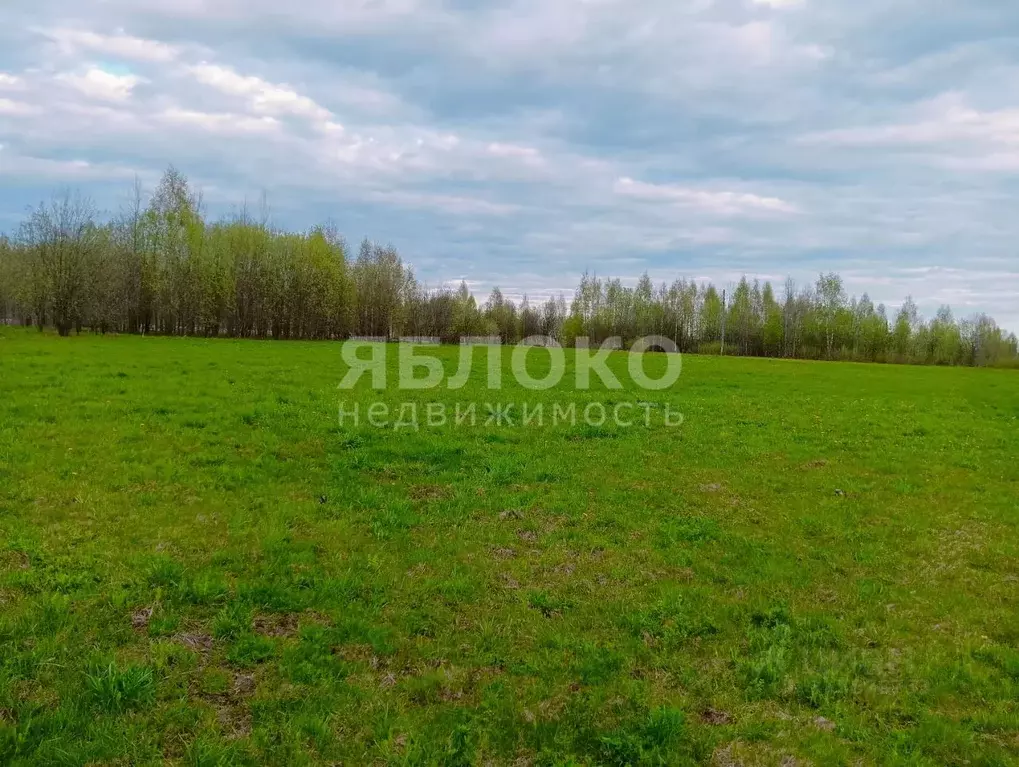 Участок в Пермский край, Березники муниципальное образование, д. ... - Фото 1