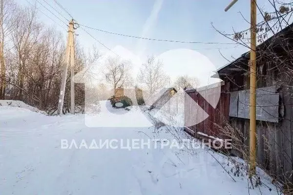 Участок в Новосибирская область, Новосибирск Северный садовод СНТ, 78 ... - Фото 1