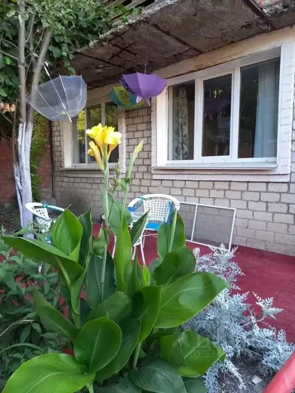 Дом в Краснодарский край, Новороссийск городской округ, с. Мысхако ул. ... - Фото 1