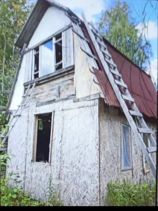 Участок в Архангельская область, Приморский муниципальный округ, ... - Фото 1