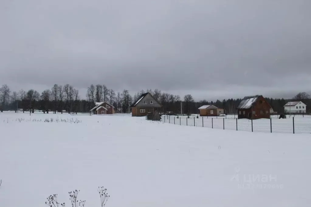 Участок в Московская область, Шаховская муниципальный округ, д. ... - Фото 1
