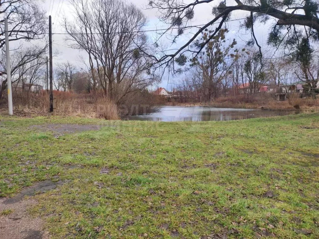 Участок в Калининградская область, Багратионовский муниципальный ... - Фото 1