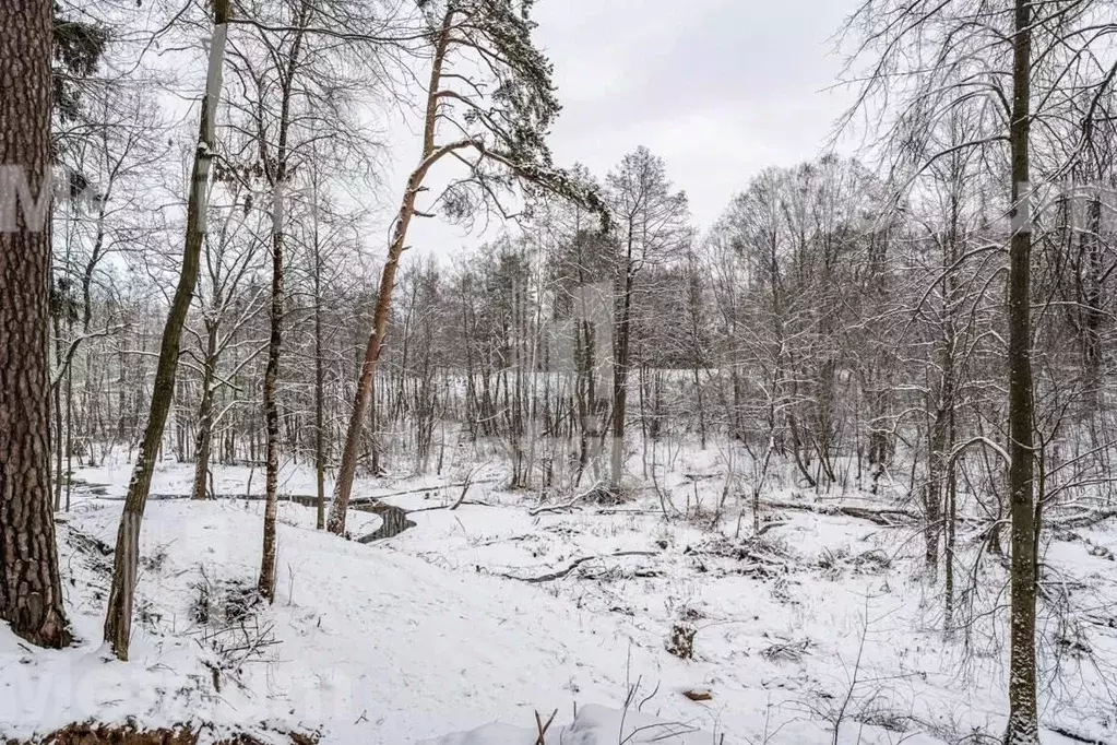 Участок в Московская область, Одинцовский городской округ, д. Дарьино  ... - Фото 1