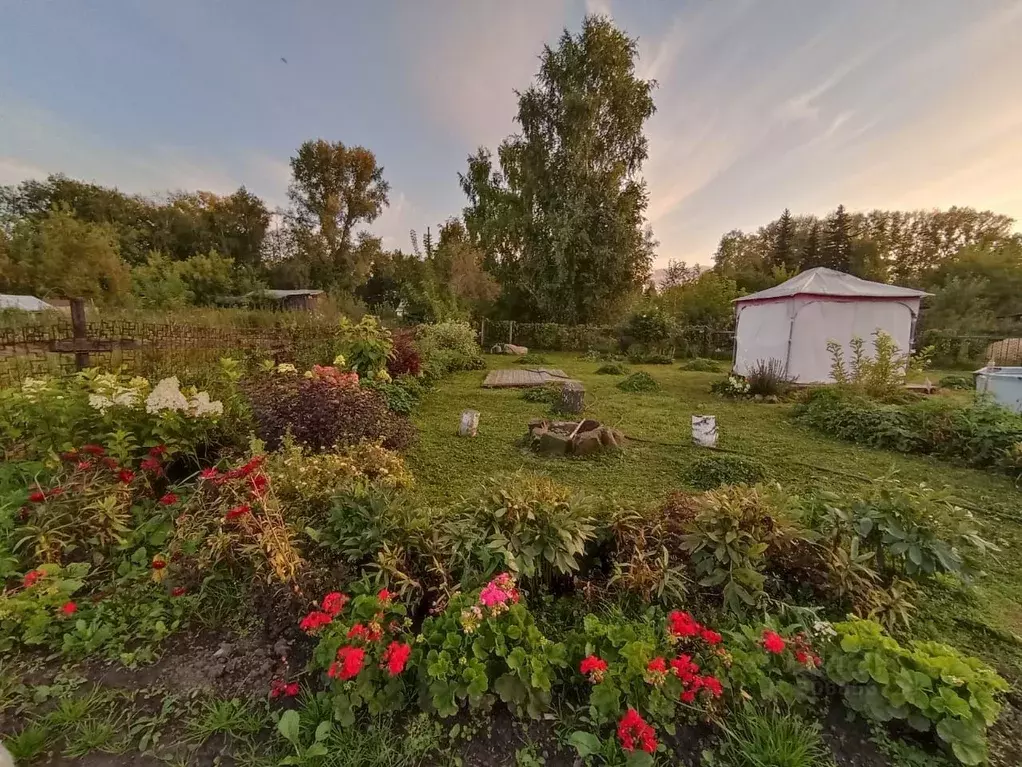 участок в новосибирская область, новосибирск пос. клюквенный, озерное . - Фото 0