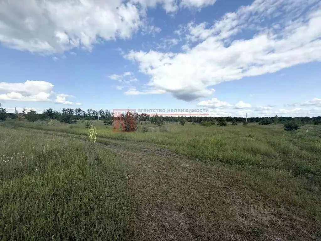 Участок в Белгородская область, Старый Оскол Ладушки-2 мкр,  (15.0 ... - Фото 1