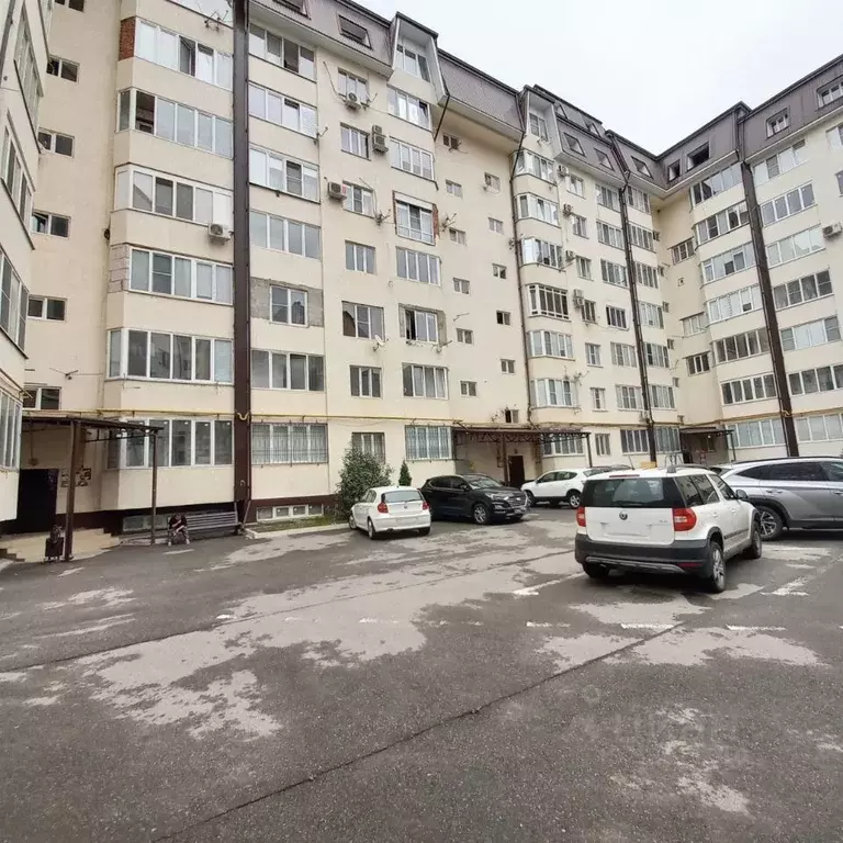 Торнадо ул тарчокова 25а корп 1 фото