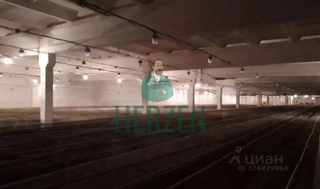 Производственное помещение в Московская область, Клин городской округ, ... - Фото 2