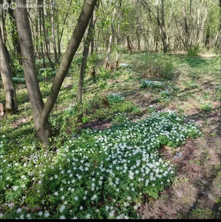 Участок в Всеволожск, микрорайон Сельхозколледж (7.94 м) - Фото 1