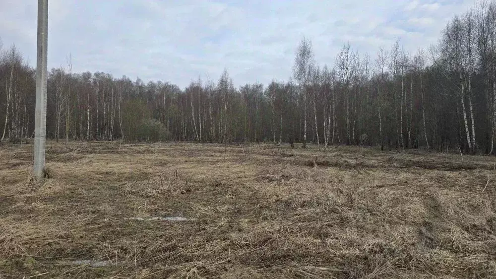 Участок в Московская область, Ступино городской округ, д. Дубнево ул. ... - Фото 2