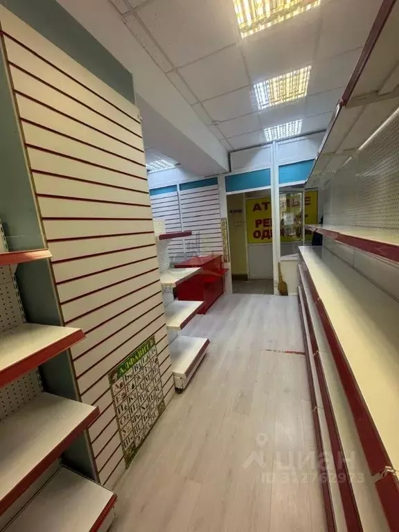 Торговая площадь в Московская область, Раменское ул. Гурьева, 12А (30 ... - Фото 2