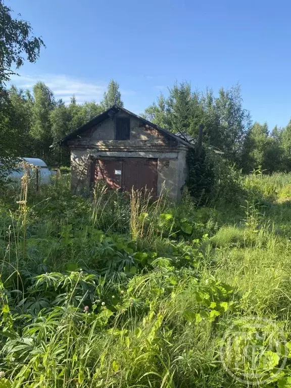 Участок в Санкт-Петербург пос. Усть-Ижора, Станционная ул., 47 (11.9 ... - Фото 2