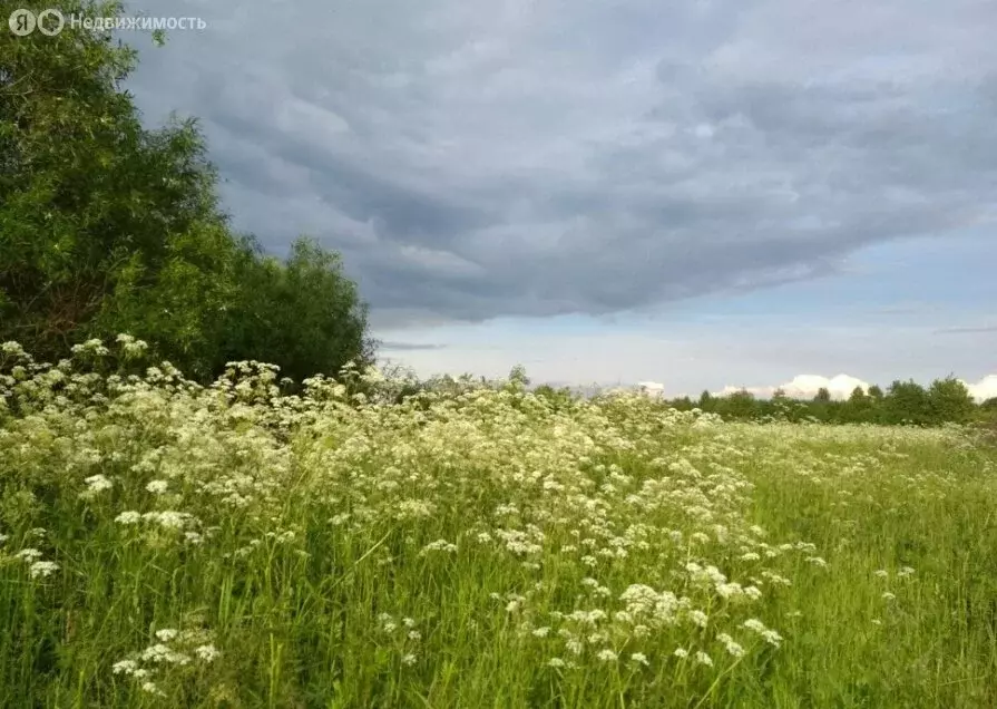 Участок в деревня Хемалда, Коралловая улица (12 м) - Фото 1