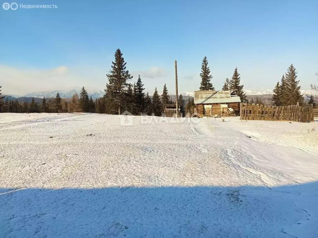Участок в Тункинский район, село Туран (19.9 м) - Фото 1