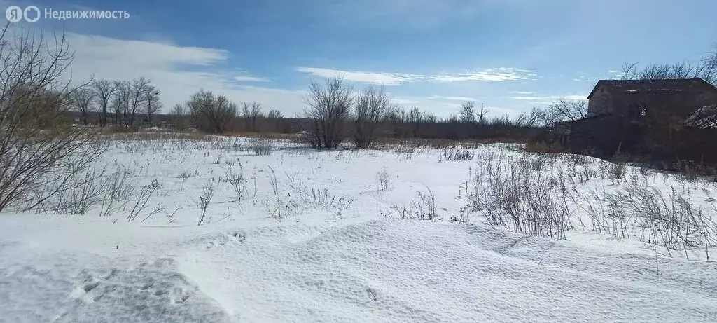 Участок в Курманаевский район, Лабазинский сельсовет, село Лабазы ... - Фото 1