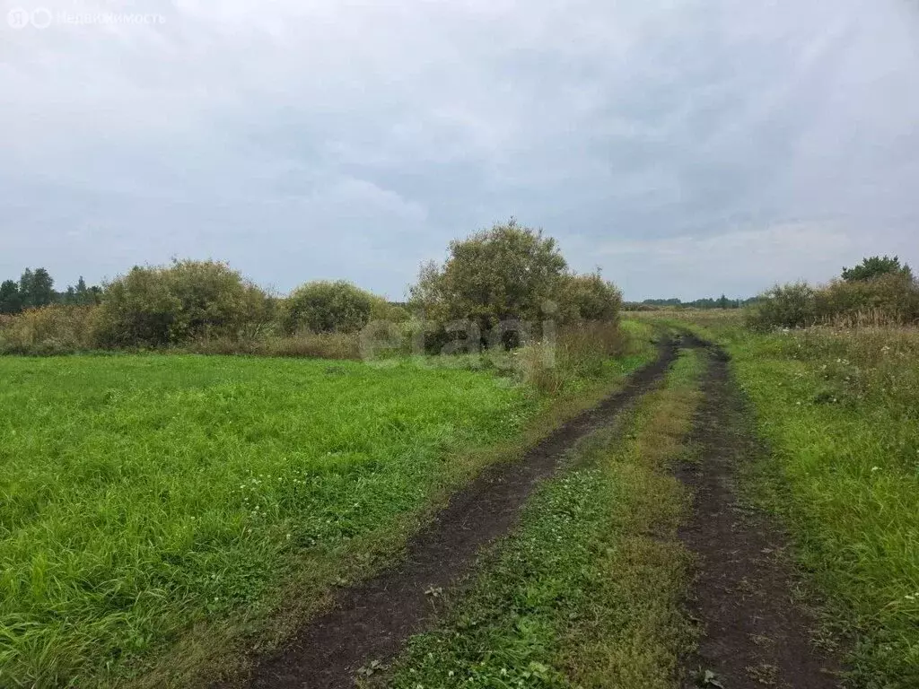 Участок в Усть-Ницинское сельское поселение, деревня Ермолина (100 м) - Фото 2