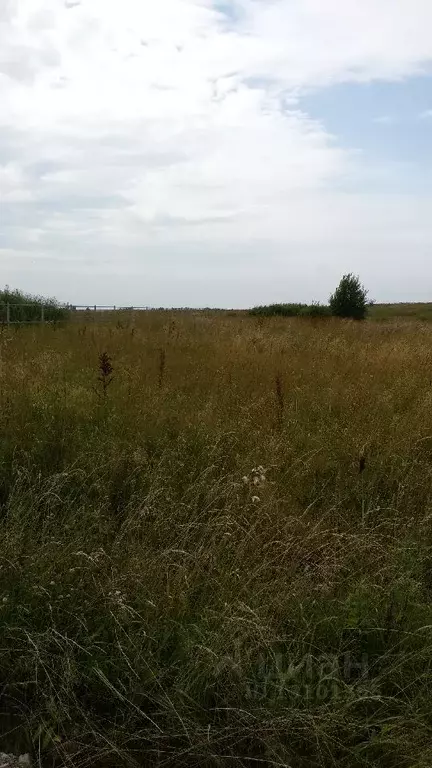 Участок в Новгородская область, Новгородский район, Савинское с/пос, ... - Фото 1