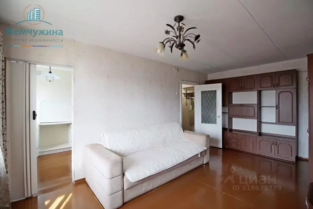 2-к кв. Ульяновская область, Димитровград ул. Курчатова, 2 (50.0 м) - Фото 1
