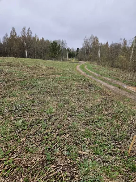 Участок в Новгородская область, Валдайский район, Короцкое с/пос, д. ... - Фото 2